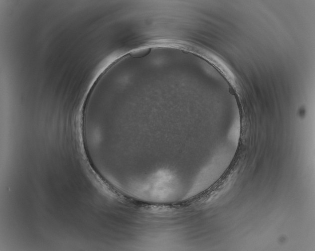 X0000116770907201001141448