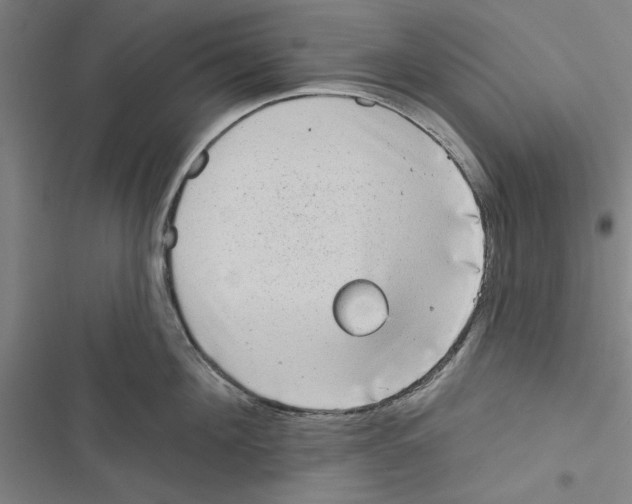 X0000116770908201001141448