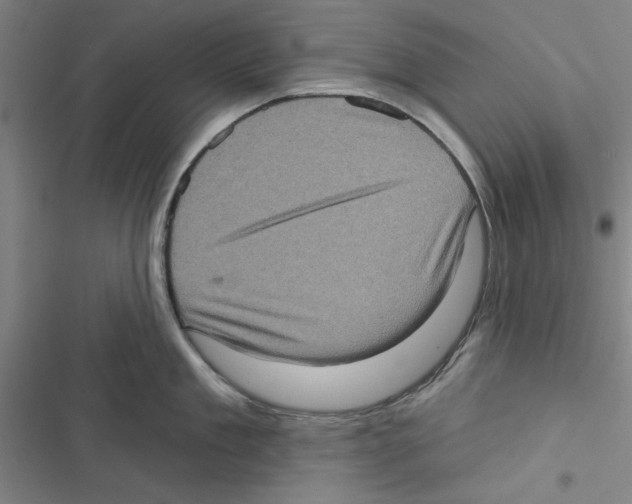 X0000116770909201001141448