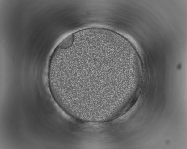 X0000116770910201001141448