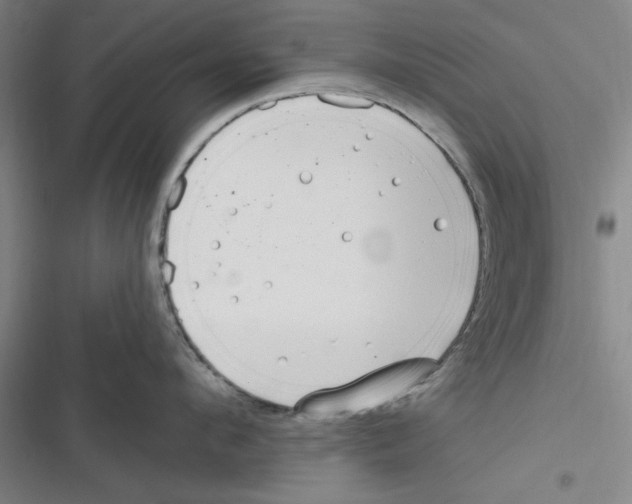 X0000116770912201001141448