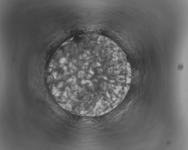 X0000116770913201001141447
