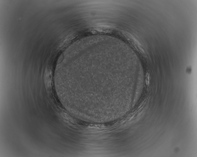 X0000116770915201001141447