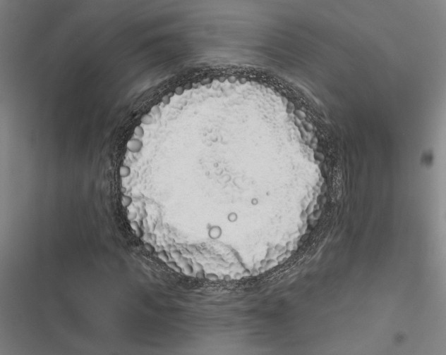 X0000116770917201001141447