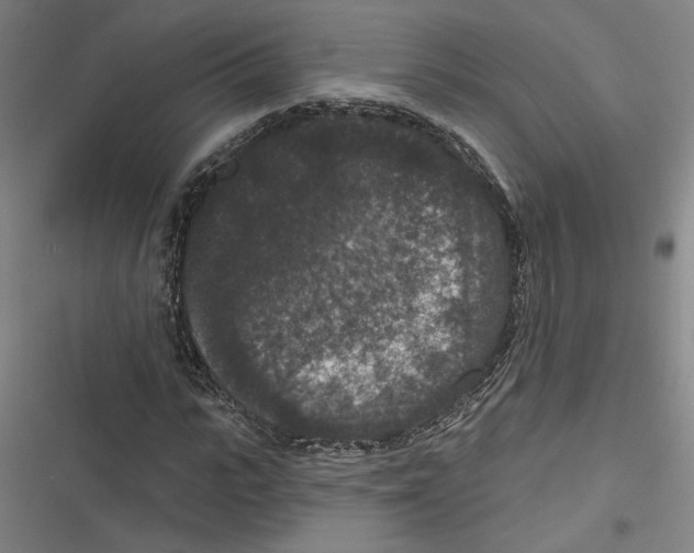 X0000116770919201001141447