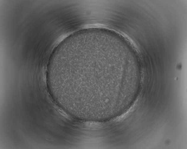 X0000116770921201001141447
