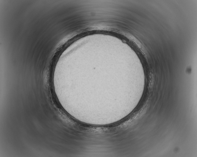 X0000116770922201001141447
