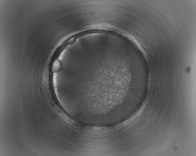 X0000116770923201001141447