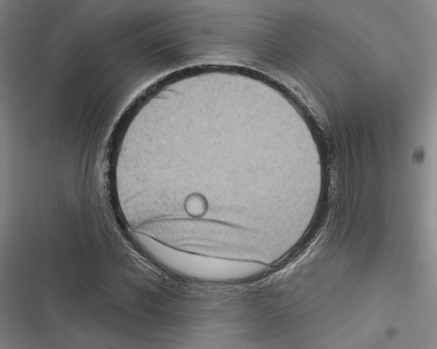 X0000116770926201001141447