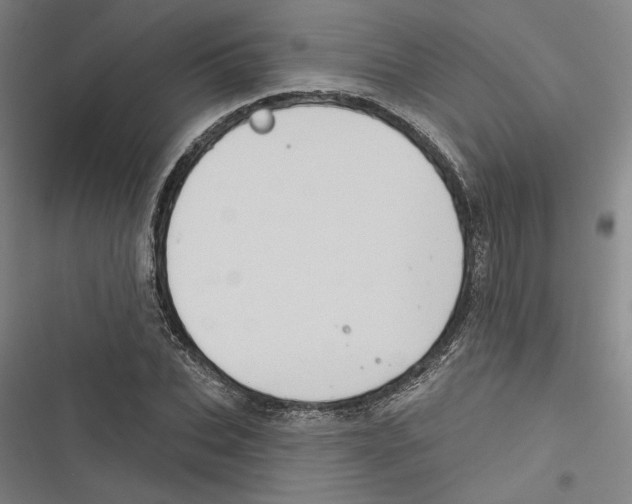 X0000116770927201001141447