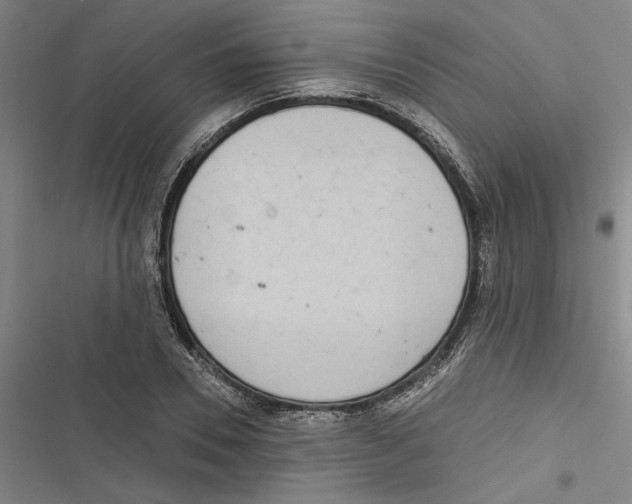 X0000116770930201001141447