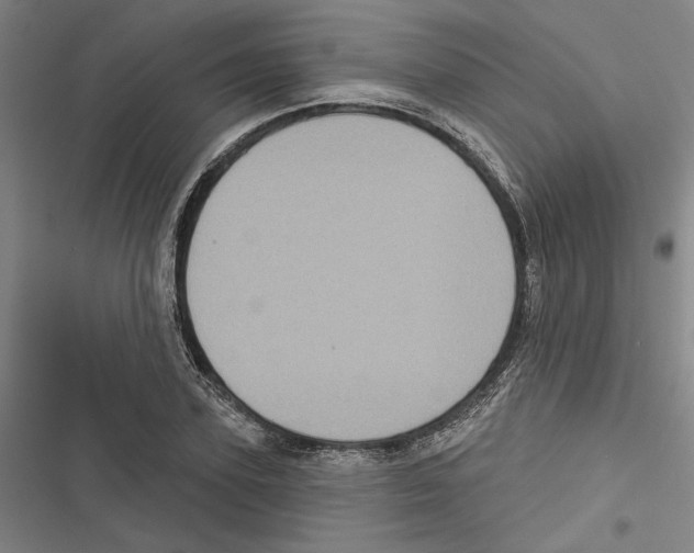 X0000116770931201001141447