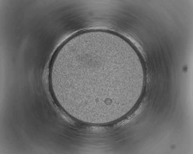 X0000116770933201001141447