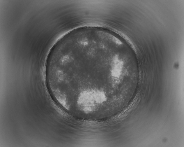 X0000116770935201001141447