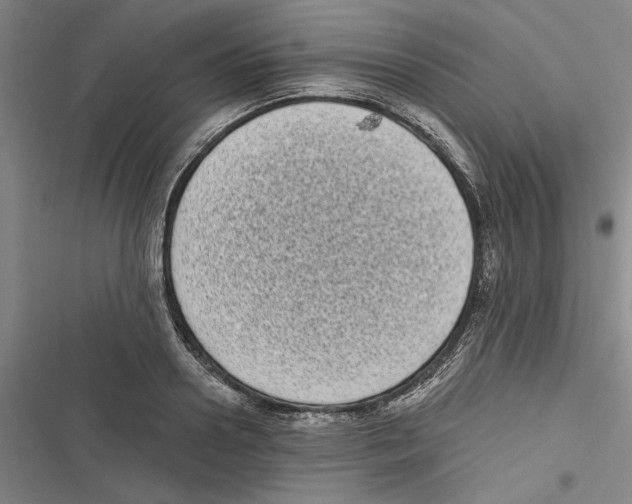 X0000116770938201001141448