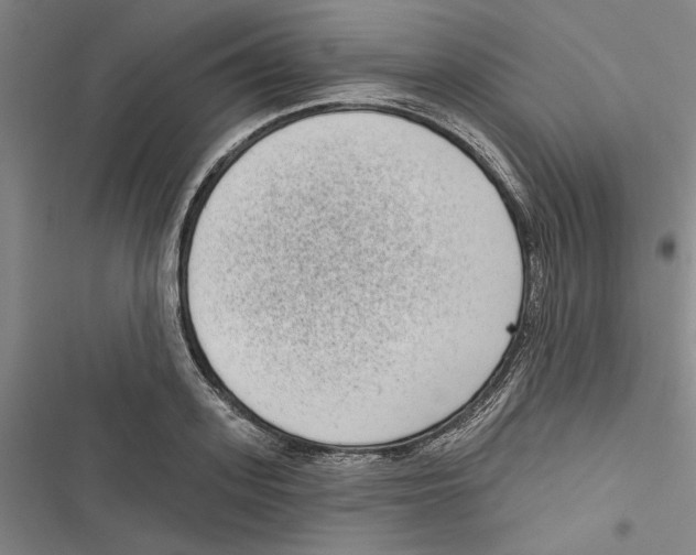 X0000116770939201001141448