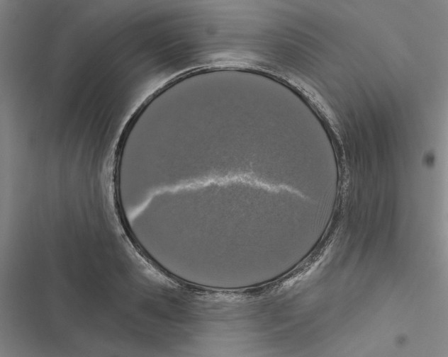 X0000116770941201001141448