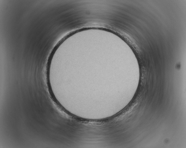 X0000116770942201001141448