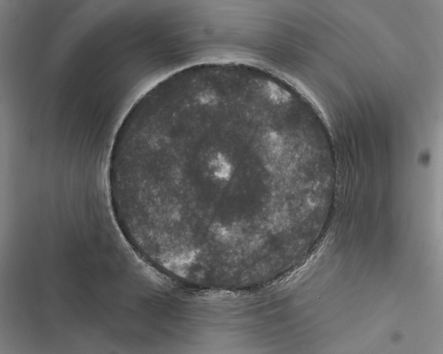 X0000116770943201001141448