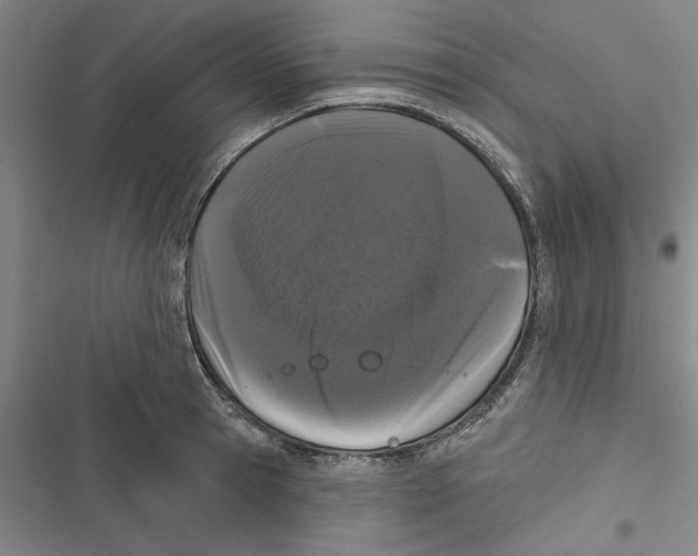 X0000116770945201001141448