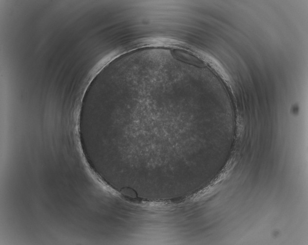 X0000116770946201001141448