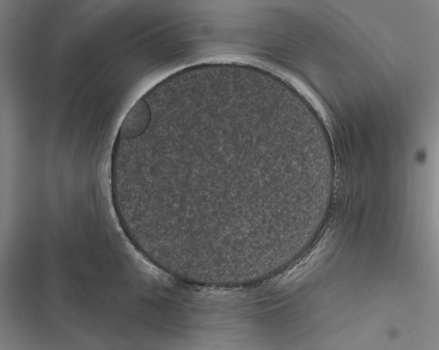 X0000116770951201001141448