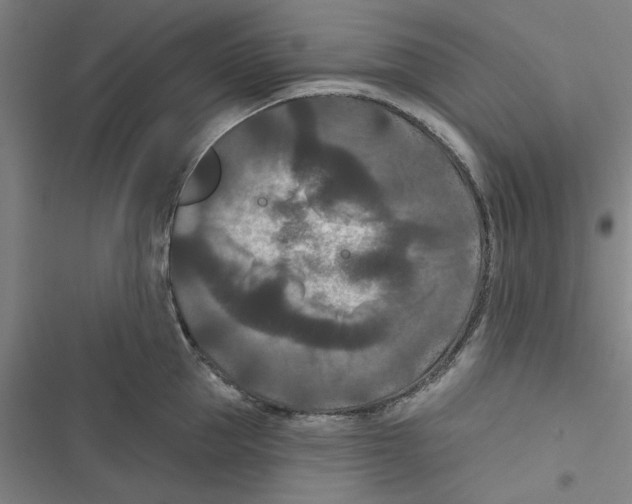 X0000116770953201001141448