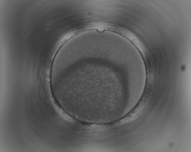 X0000116770954201001141448