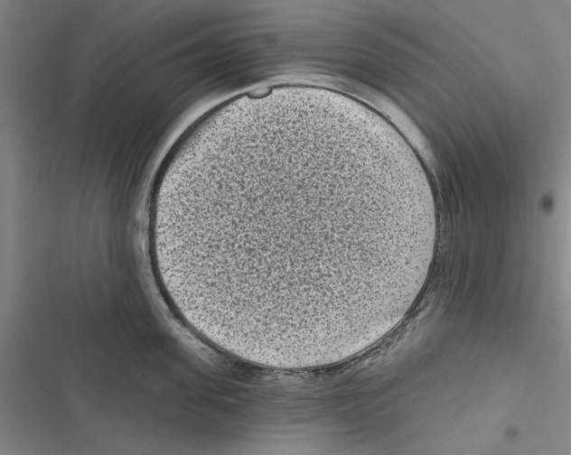 X0000116770955201001141448