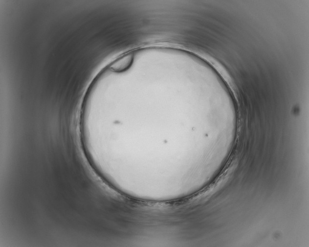 X0000116770957201001141448