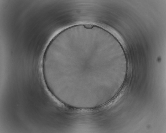 X0000116770958201001141448