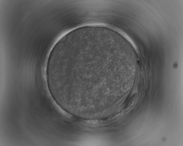 X0000116770959201001141448
