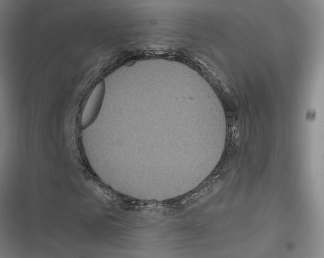 X0000116770961201001141447
