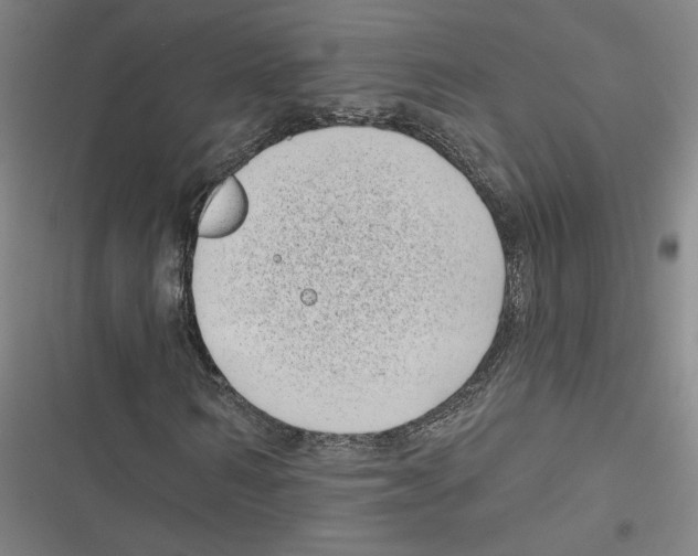 X0000116770962201001141447