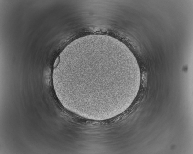 X0000116770963201001141447