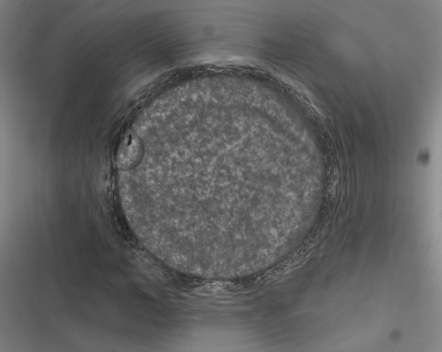 X0000116770966201001141447