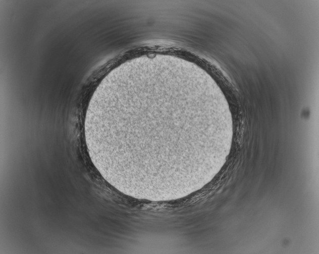 X0000116770967201001141447