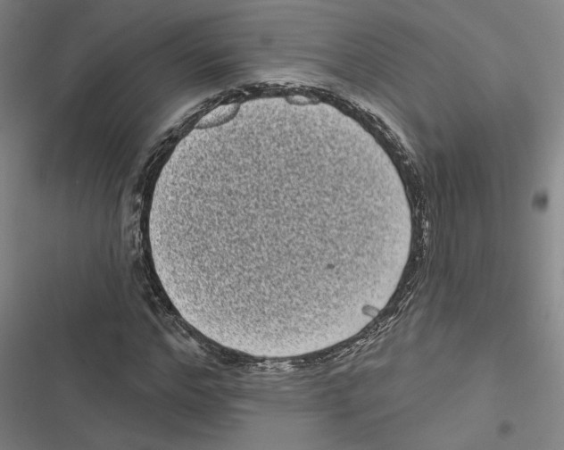 X0000116770968201001141447