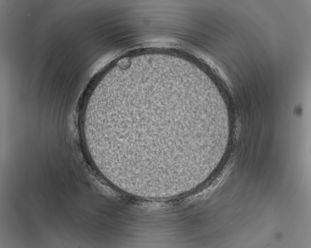 X0000116770970201001141447