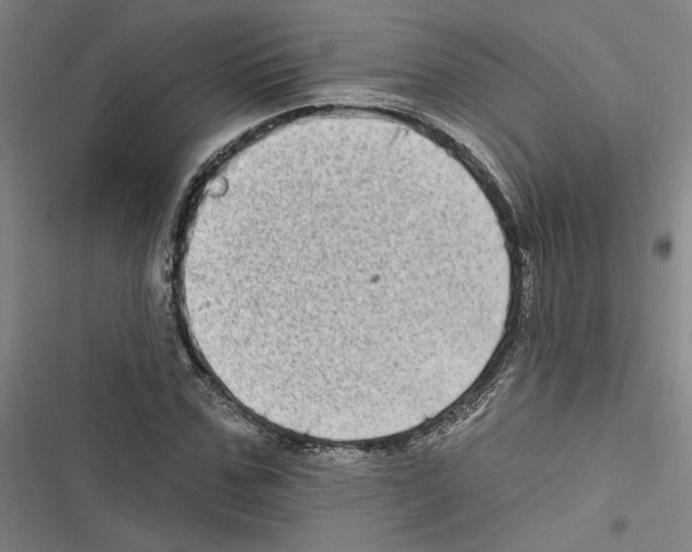 X0000116770971201001141447