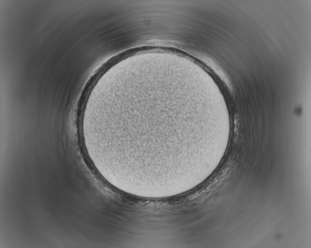 X0000116770972201001141447