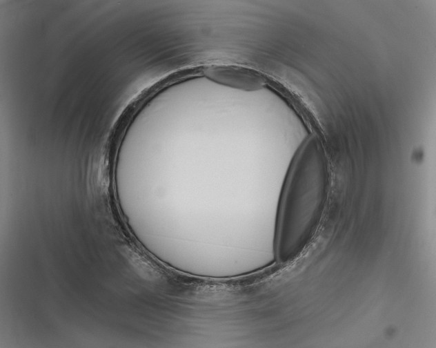 X0000116770973201001141447