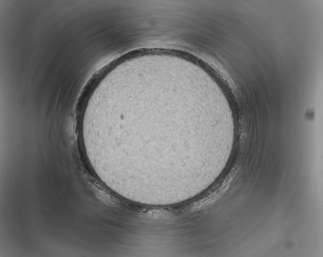 X0000116770974201001141447