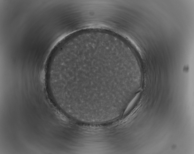 X0000116770975201001141447