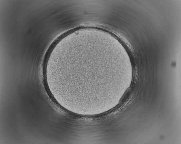 X0000116770976201001141447
