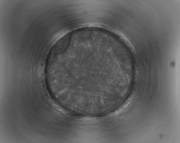 X0000116770977201001141447