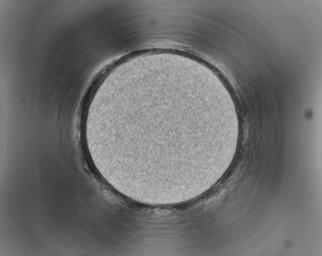 X0000116770979201001141447