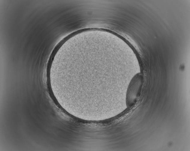 X0000116770980201001141447
