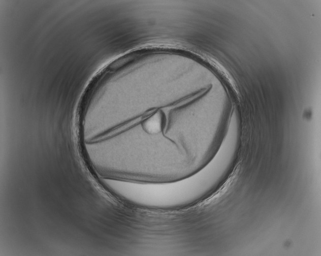 X0000116770981201001141447