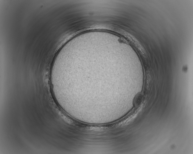 X0000116770985201001141447